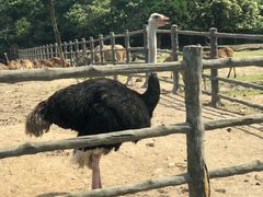 -西安秦岭野生动物园