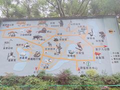 -杭州动物园
