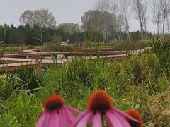-东郊湿地公园
