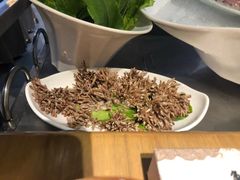 -鱼神·脆肉鲩 全鱼宴(西乡店)