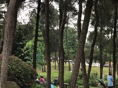 -铁山坪森林公园