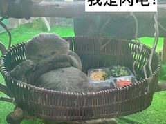 -杭州野生动物世界