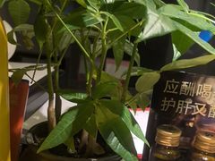 -新廊桥(原科华廊桥店)