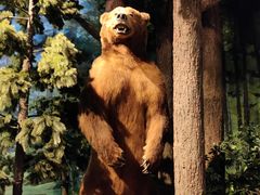 -陕西自然博物馆