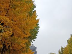 -玲珑塔公园
