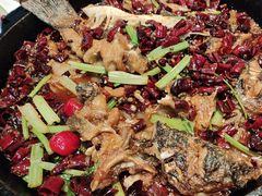 -老板恋上鱼(恒隆广场店)