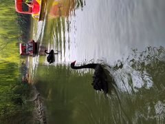 -南翠屏公园