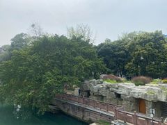 -成都市活水公园