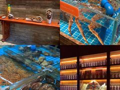 -ONE FULL 古董港式海鲜火锅