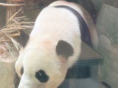 -灵玲国际马戏城