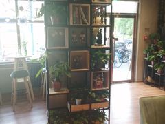 -ZING COFFEE 镜咖啡