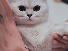 -武陟虹兴砂锅(普庆路店)