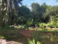 -海南热带野生动植物园