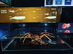 -同济大学四平路校区深海探索馆