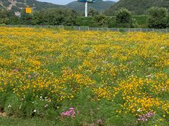 -大连铭湖国际观光牧场