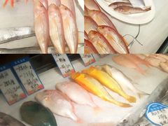 -闽海肴(北辰荟店)