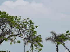 -集美鳌园景区