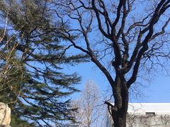 -北京动物园-畅观楼