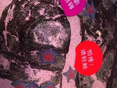 -沈阳海洋探索中心