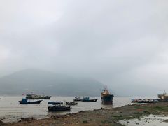 -北岐滩涂