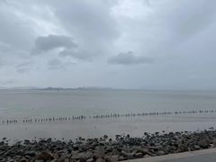 -深圳湾公园(南山区)