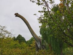 -自然谷恐龙园