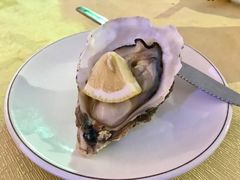 冰镇生蚝-蚝家菜馆(沙井店)