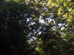 -菊花台公园