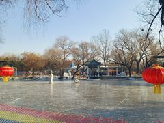 -北陵公园