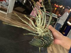 -海盗餐厅