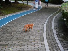 -苏州河梦清园环保主题公园