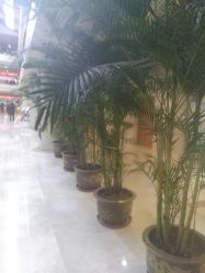 -沈阳市妇婴医院