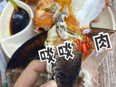 -强记龙虾钳(定安里店)