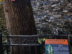 -北京上方山国家森林公园