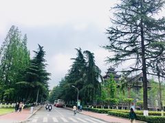 -四川大学(华西校区)