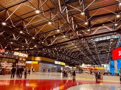 -谢列梅捷沃国际机场