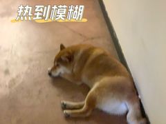 -啡语
