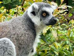 -杭州野生动物世界