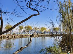 -无锡蠡湖国家湿地公园-蠡园