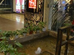 DSC02795-茶马古道(大悦城店)