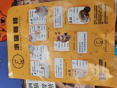-滚猫咖啡·猫咖·猫友好撸猫(未来城店)
