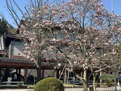 -浙江省博物馆(孤山馆区)
