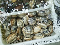 -公寓家常菜馆(海军博物馆店)