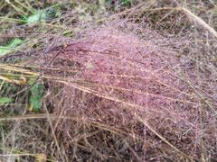 -华山御温泉度假村