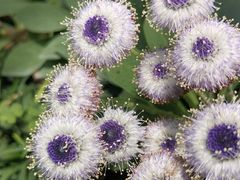 -北京植物园-展览温室