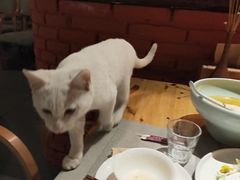 -驿舍·民國老营房院子私房菜(科学会堂店)