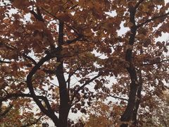 -北京鹫峰国家森林公园