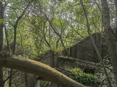 -上海佘山国家森林公园天马山园