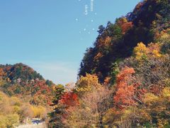 -沣峪口