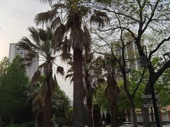 -苏州河梦清园环保主题公园